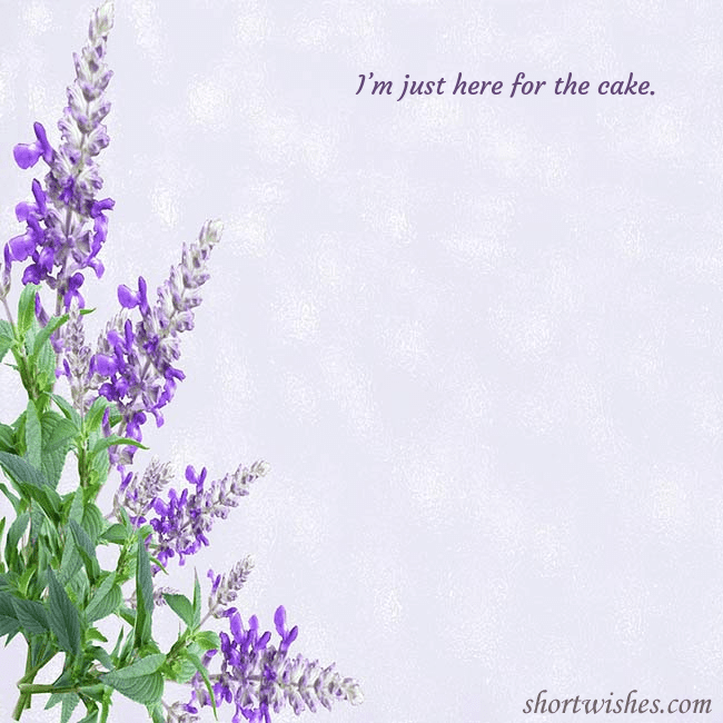 Postcard with lupins