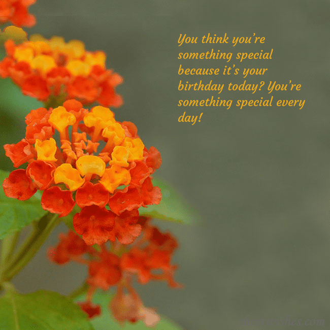 E-card with orange flowers