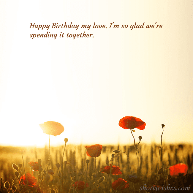 E-card with a field of poppies drowning in the sun