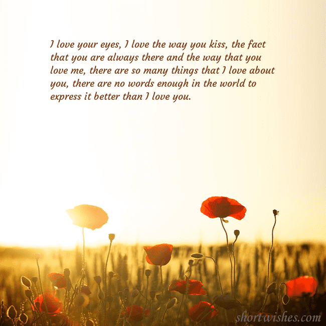 E-card with a field of poppies drowning in the sun