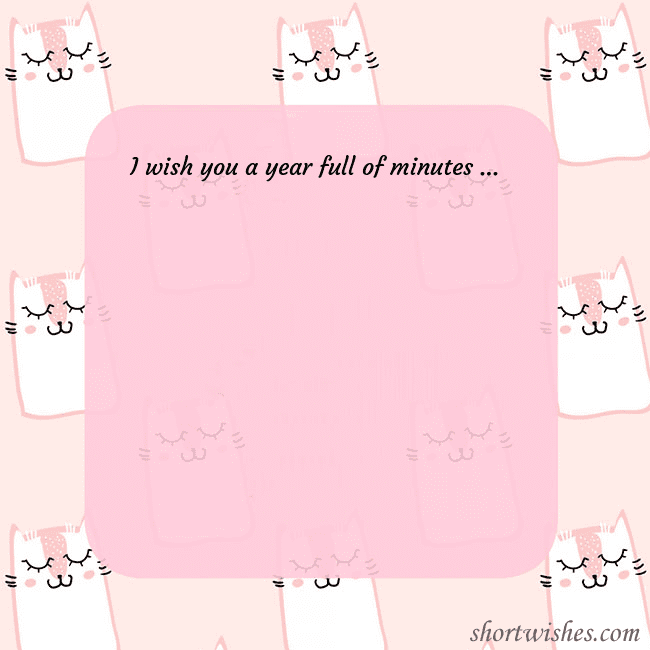 Pink postcard with funny cats