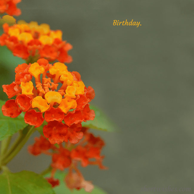 E-card with orange flowers