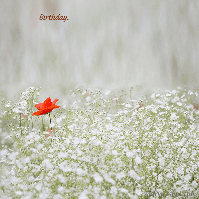 Electronic card with white flowers