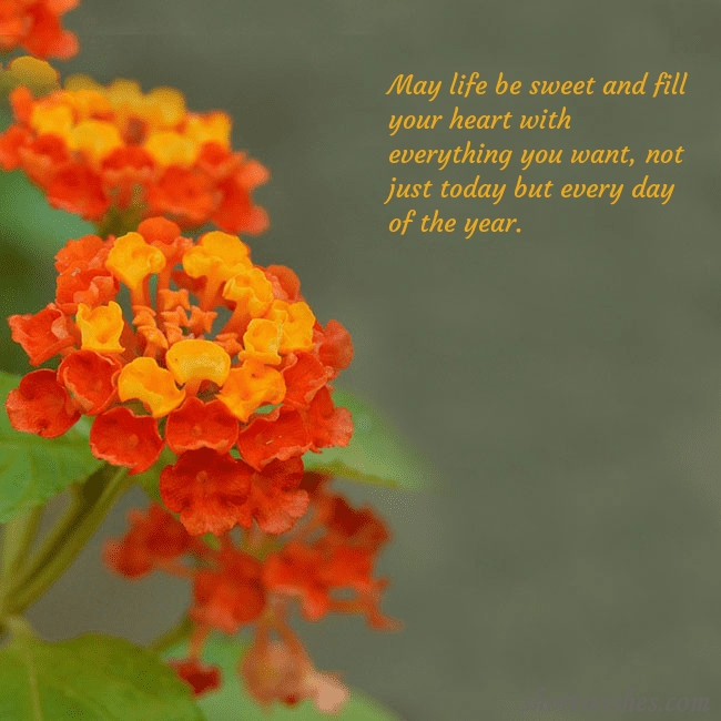 E-card with orange flowers