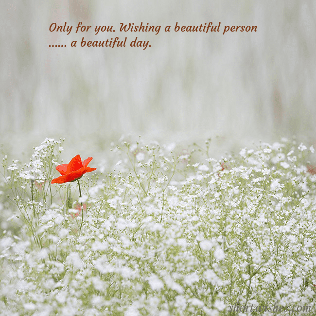 Electronic card with white flowers