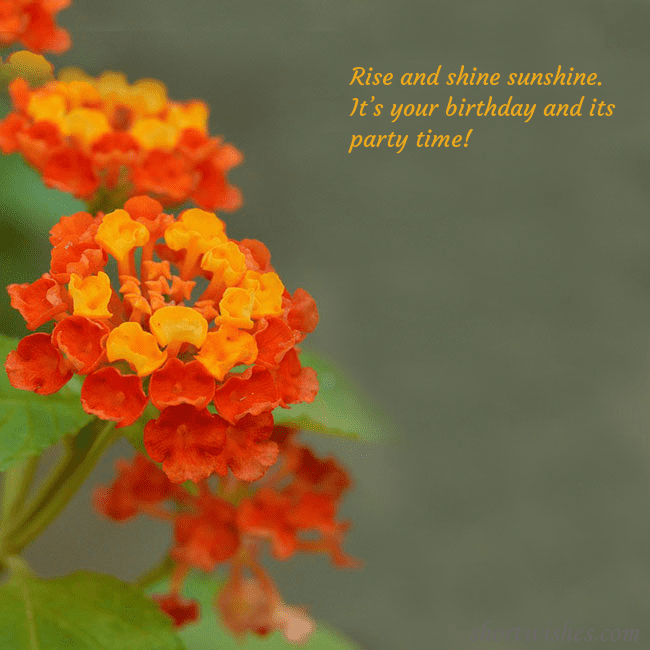 E-card with orange flowers