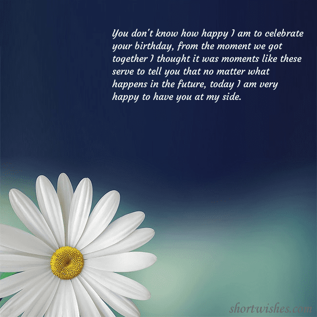 Postcard with a large daisy