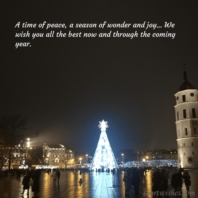 Postcard with a Christmas tree near the cathedral