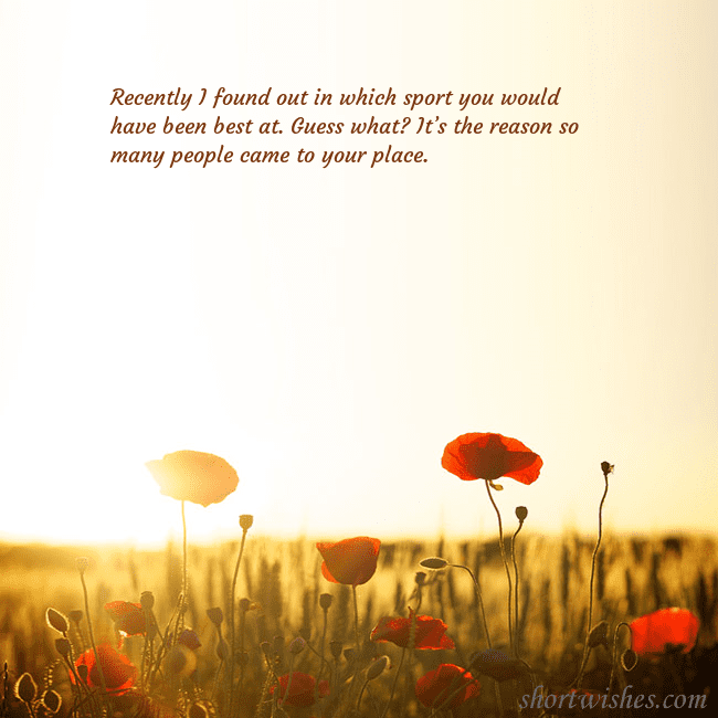 E-card with a field of poppies drowning in the sun