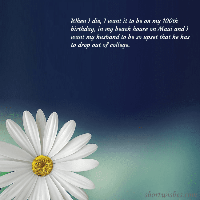 Postcard with a large daisy