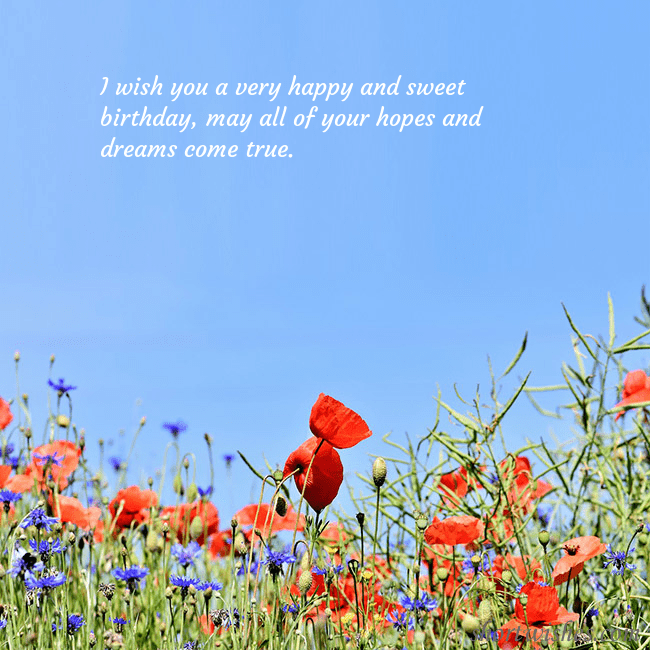 Birthday card with poppies