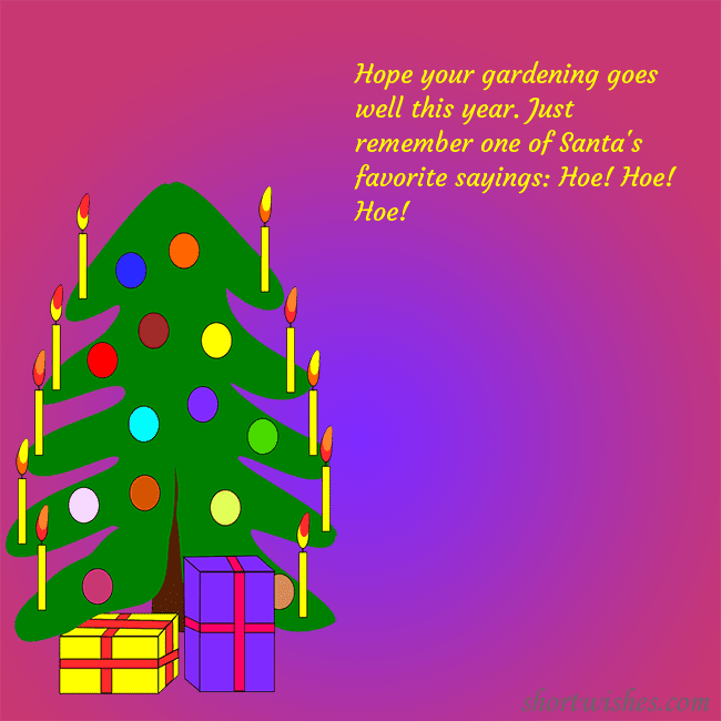 A postcard with a drawn Christmas tree