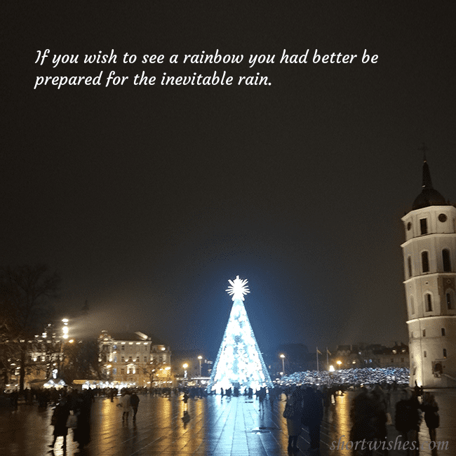 Postcard with a Christmas tree near the cathedral