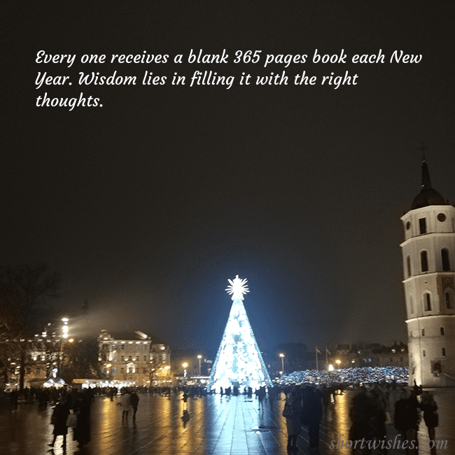 Postcard with a Christmas tree near the cathedral