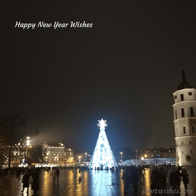 Postcard with a Christmas tree near the cathedral