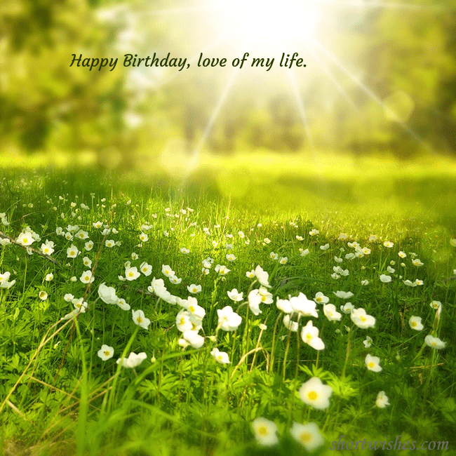 Electronic postcard with a meadow drowning in sunlight