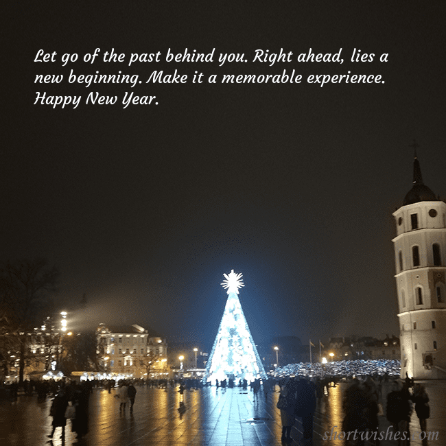 Postcard with a Christmas tree near the cathedral