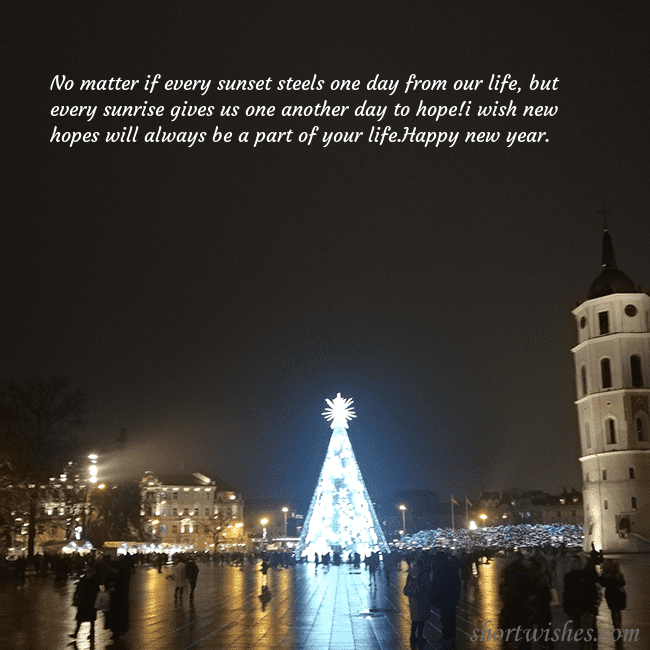 Postcard with a Christmas tree near the cathedral