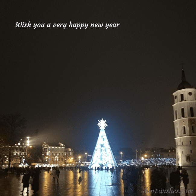 Postcard with a Christmas tree near the cathedral