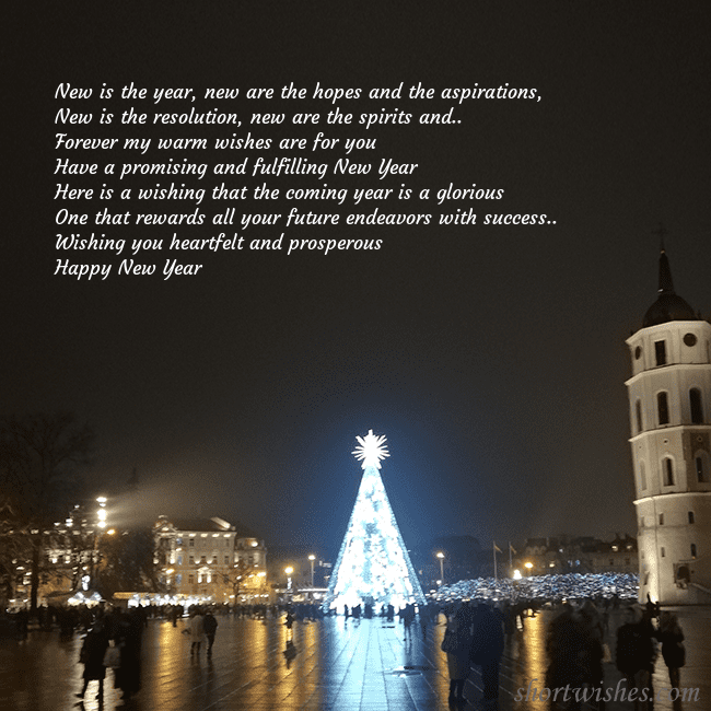 Postcard with a Christmas tree near the cathedral