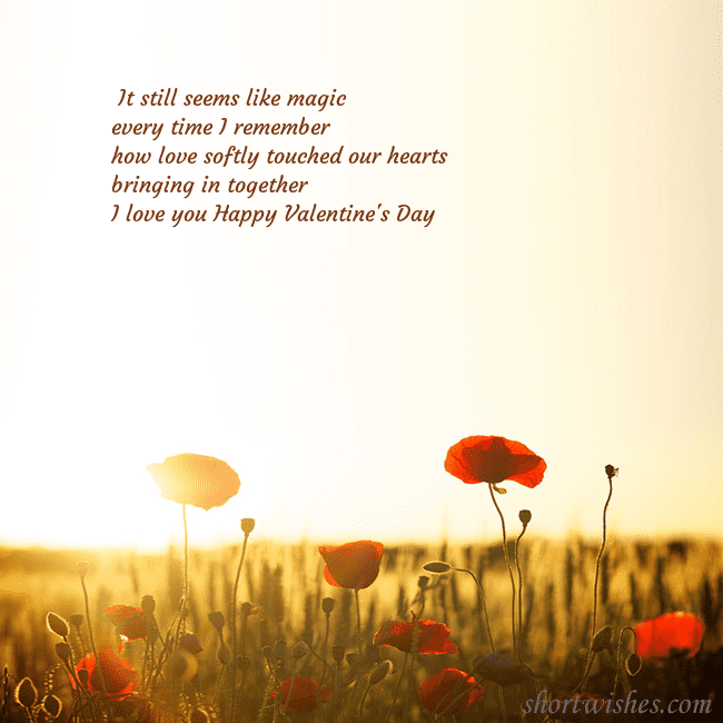 E-card with a field of poppies drowning in the sun