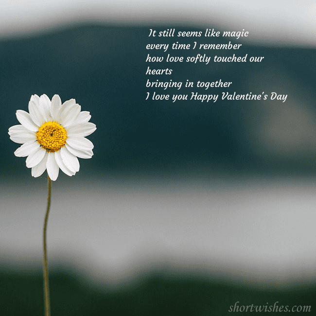 E-card with a daisy