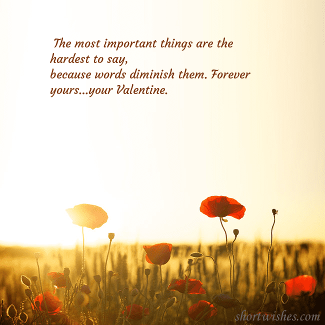 E-card with a field of poppies drowning in the sun