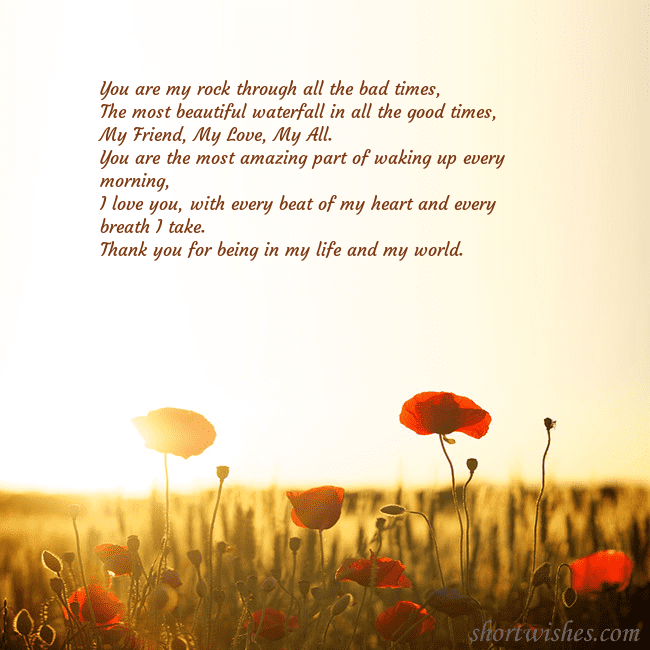 E-card with a field of poppies drowning in the sun