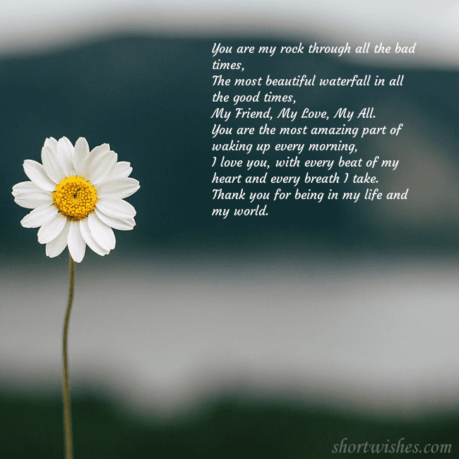 E-card with a daisy