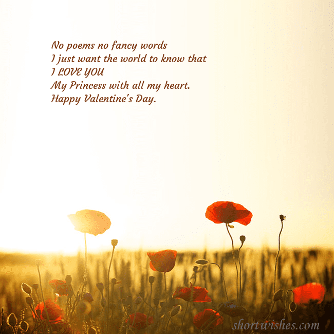 E-card with a field of poppies drowning in the sun