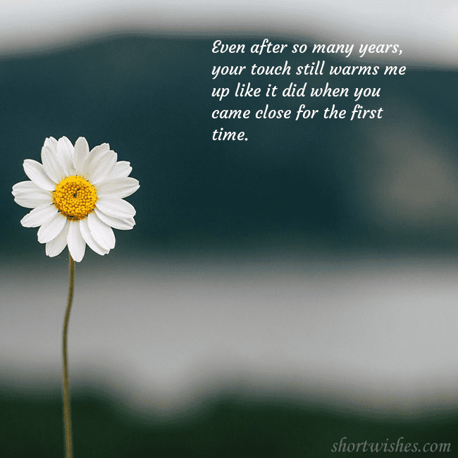 E-card with a daisy