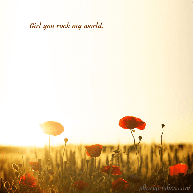 E-card with a field of poppies drowning in the sun