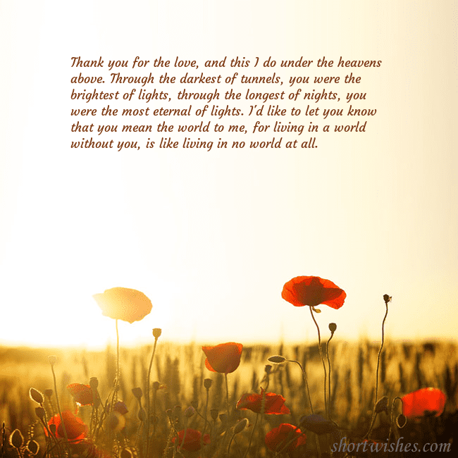 E-card with a field of poppies drowning in the sun