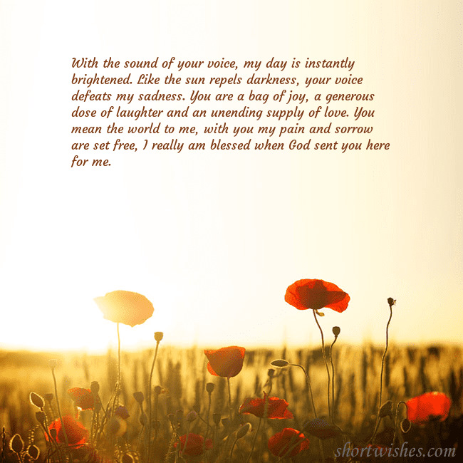 E-card with a field of poppies drowning in the sun