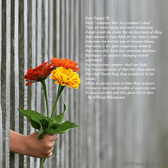 Electronic card with a bouquet of flowers Love Sonnet 18
Shall I compare thee to a summer's Electronic card with a bouquet of flowers