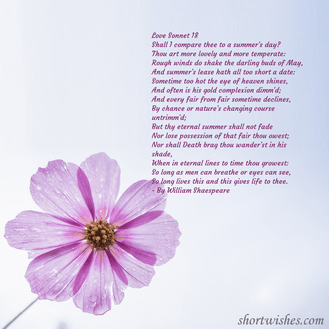 Electronic card with a purple flower