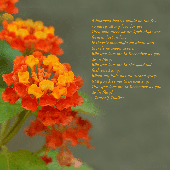 E-card with orange flowers