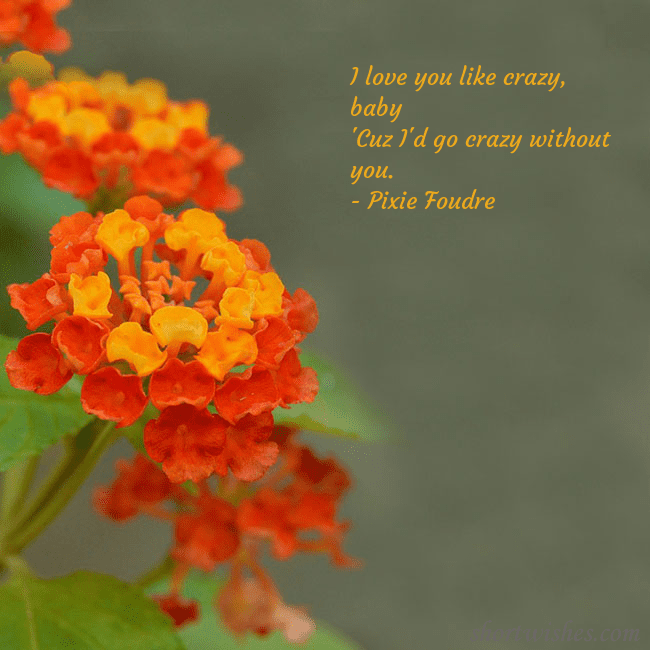 E-card with orange flowers