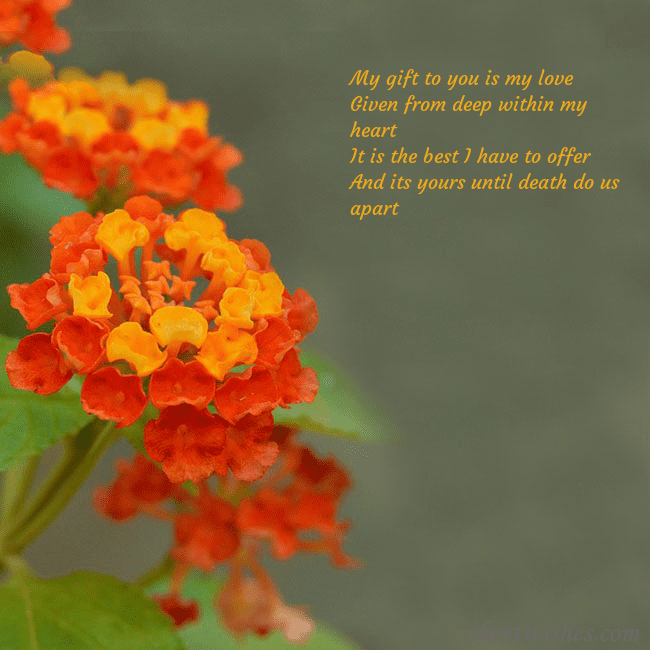 E-card with orange flowers