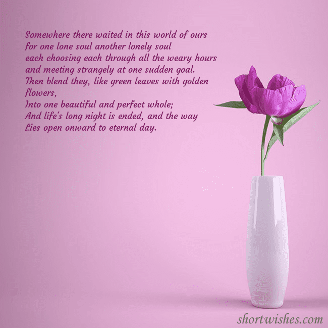 Electronic postcard with a peony in a vase