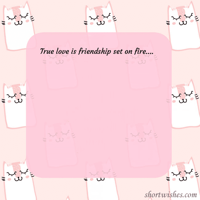 Pink postcard with funny cats