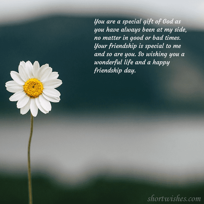 E-card with a daisy