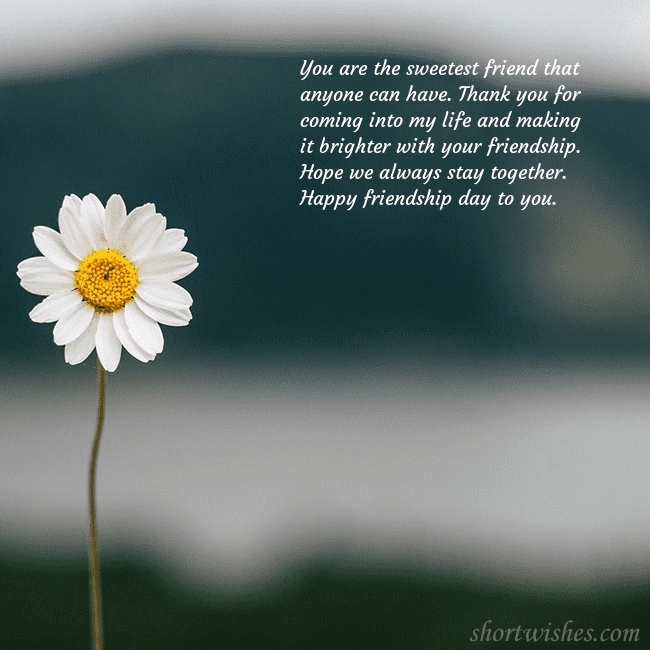 E-card with a daisy