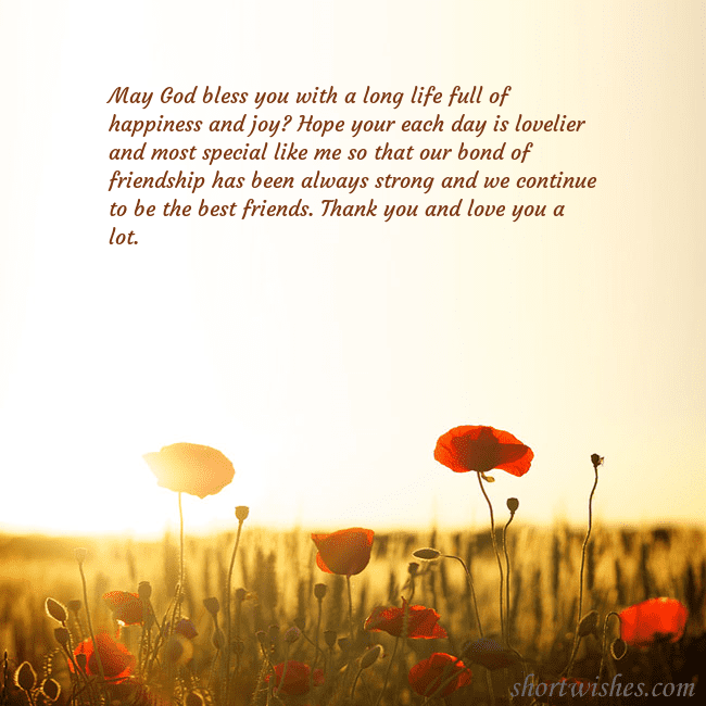 E-card with a field of poppies drowning in the sun