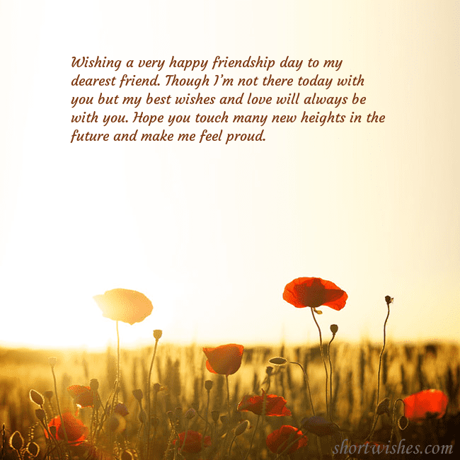 E-card with a field of poppies drowning in the sun