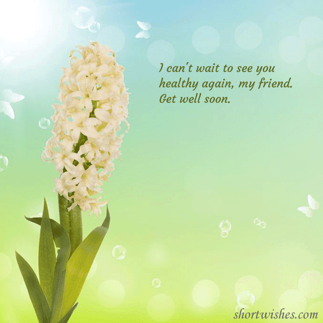 Postcard with hyacinth