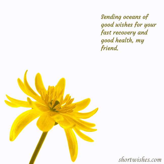 Postcard with a yellow flower