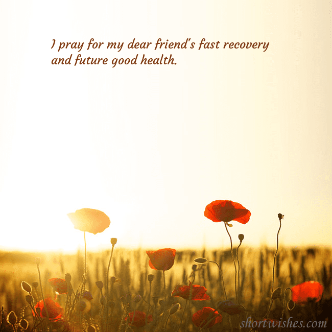 E-card with a field of poppies drowning in the sun