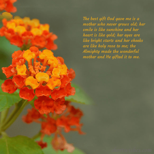 E-card with orange flowers