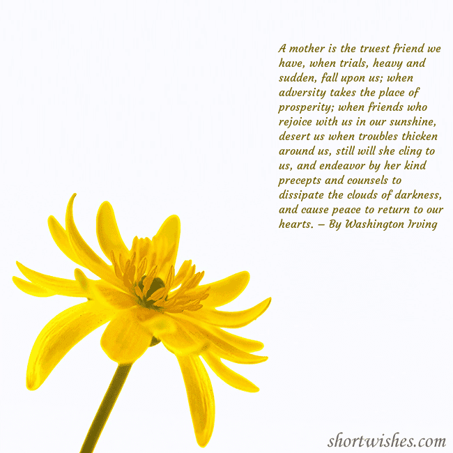 Postcard with a yellow flower A mother is the truest friend we have, when trials Postcard with a yellow flower